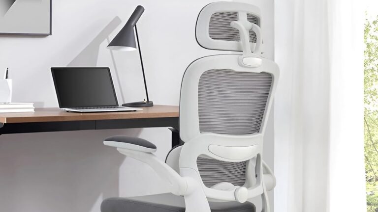 office chairs for back pain